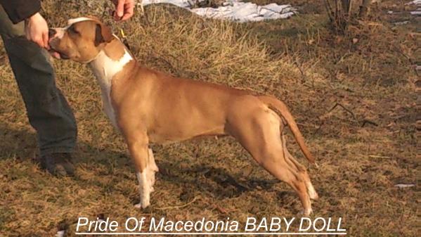 Pride of Macedonia BABY DOLL