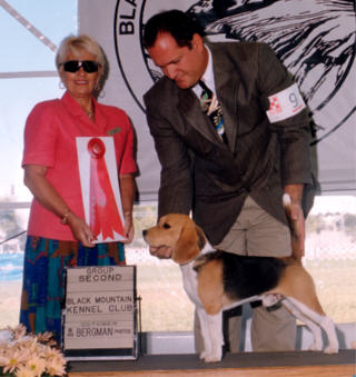 CH Just-Wright Home Run