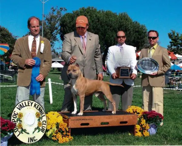 AKC GR CH/ CAN CH Michl r justice prevails at backer ranch