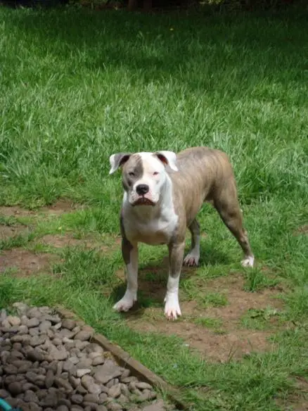 Miss Kola Tank of Browns Creek