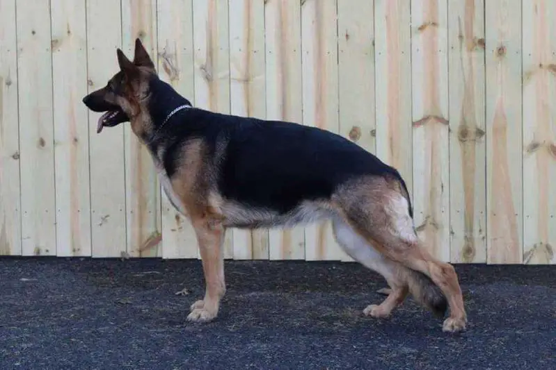 Spada's Nothing But Country