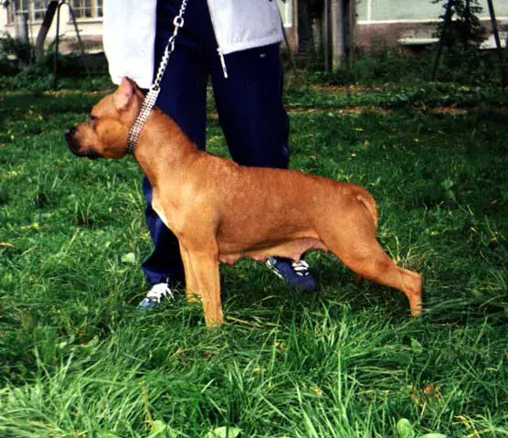 Dark Soul Jacqueline