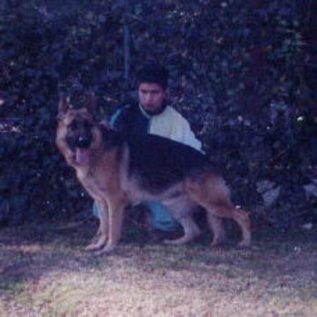 Herby von der Steinleite