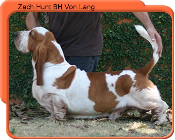 ZACH HUNT BH VON LANG