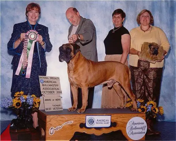 CH Carrvillas N Dox Oxford Don