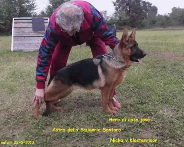 Astra della Scuderia Santoro