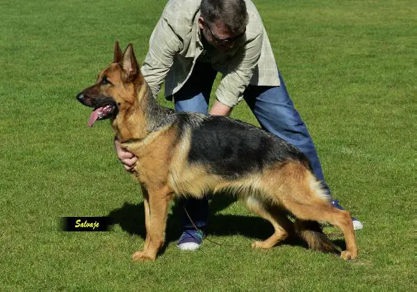 Elba de la Cruz del Reto