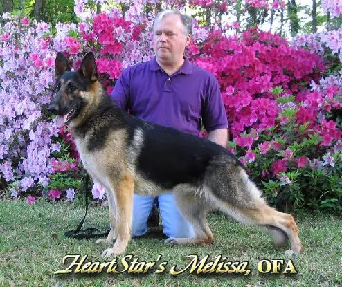 HeartStar's Melissa
