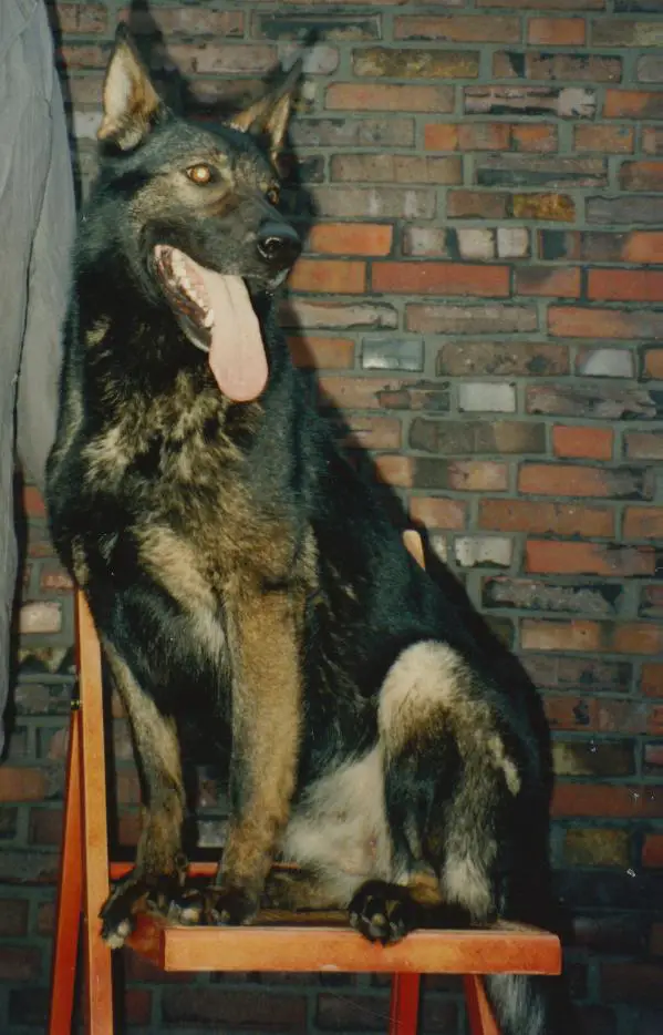 Ute vom Eichsfelder Land