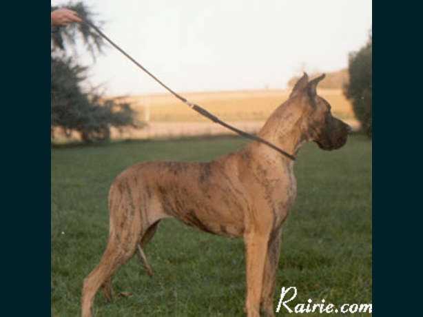 Gallia des Terres de la Rairie