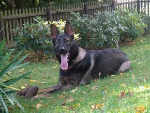 Eyk von Haus Dülfer