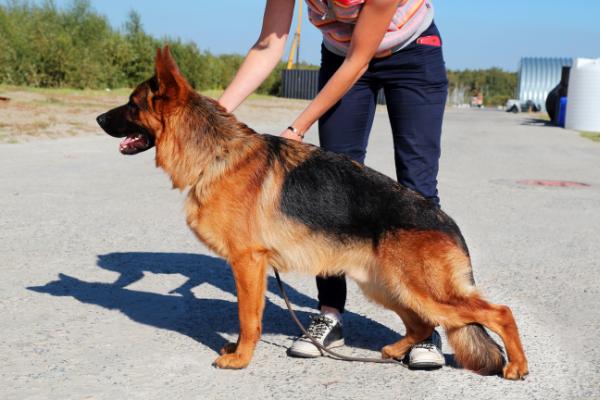 Flash von Yugerschof