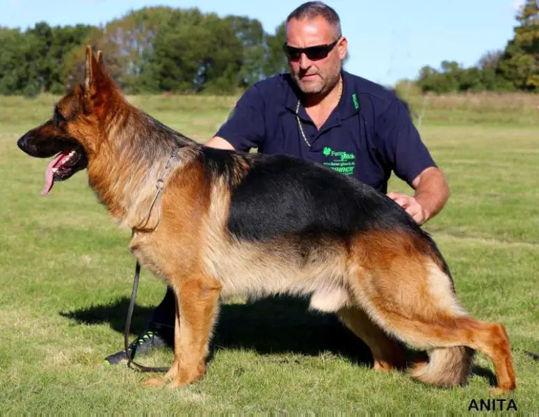 V Jack Daniels von der Liebeswarte