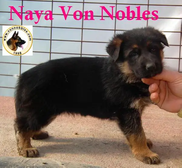 Naya Von Nobles