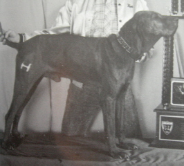 GRNITECH 'PR' Hursts Honest Amos