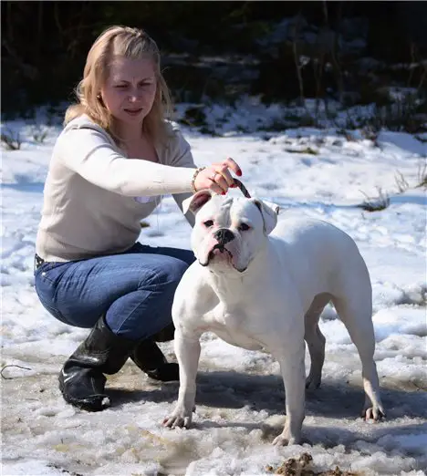 Discovery Millenium Futures