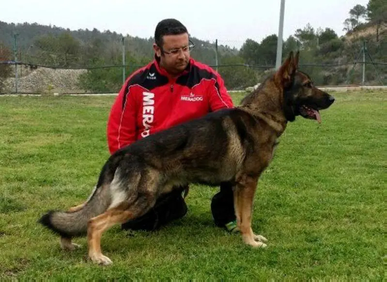 Arko de Marchamalo