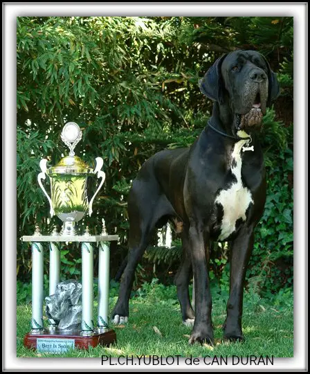 PL.CH. Yublot de CAN DURAN