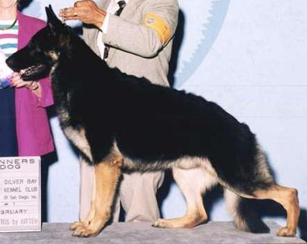 Noroda's Cabo San Lucas