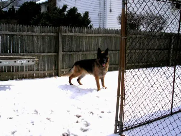 Darkstar's Thor of Valhalla