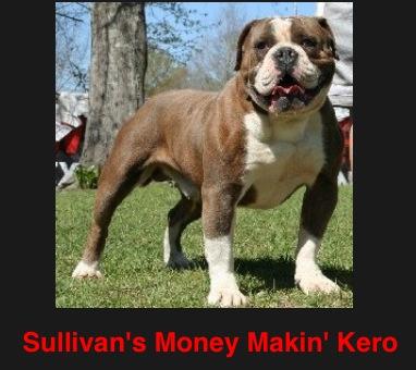 Sullivans Money Maker Kero