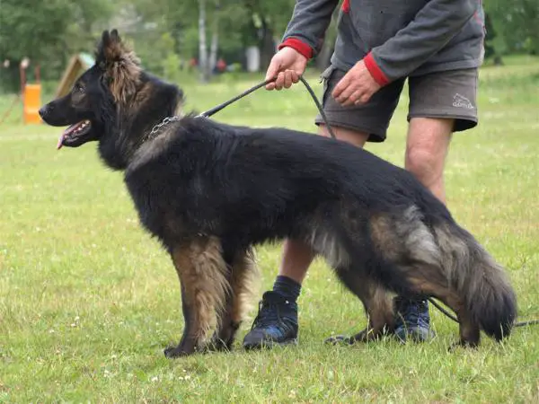 Cir jablonecké vrchy