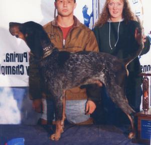 GRCH GRNITECH 'PR' Razor Ridge Pop A Top