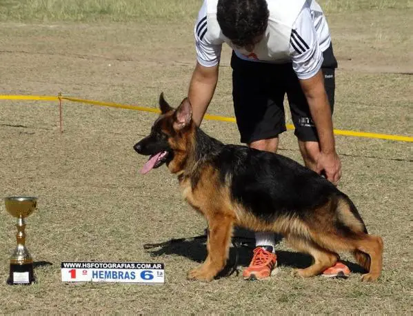 Irlanda von der Gitor