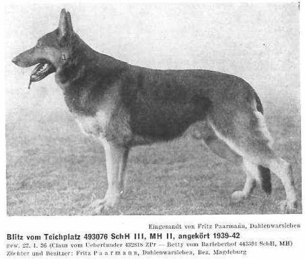 Blitz vom Teichplatz