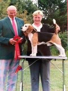 Den.Ch Kennet`s Gigolo