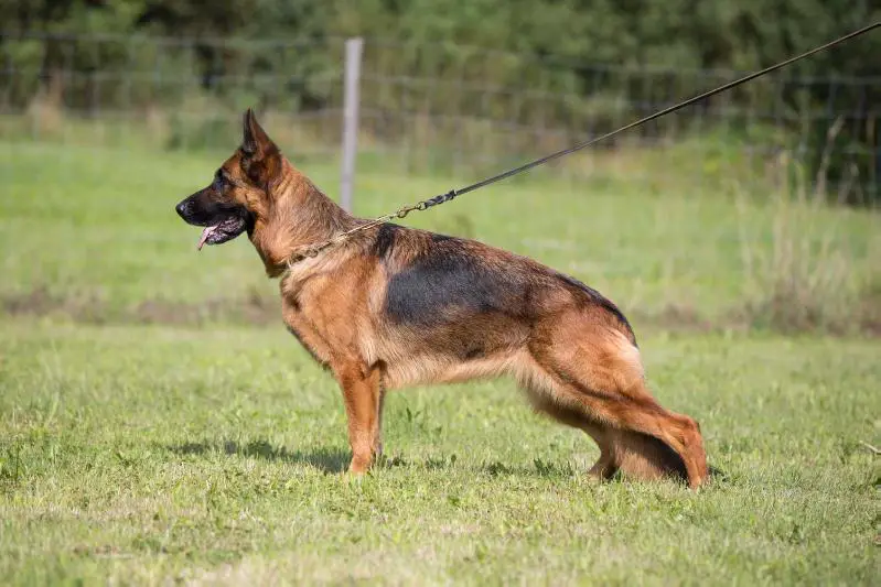 SG12 (JKL BSZS 2014) Lara Clark