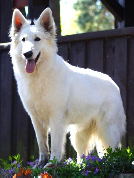 Magic Moment of Buscin's Love