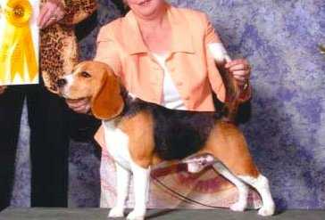 CH Einstein's Speed of Light