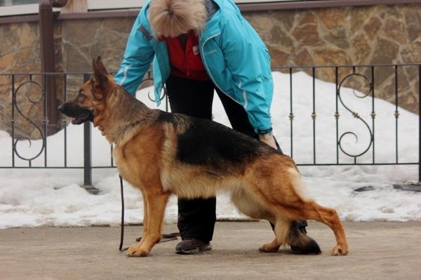 Kleoshloss Genevieva