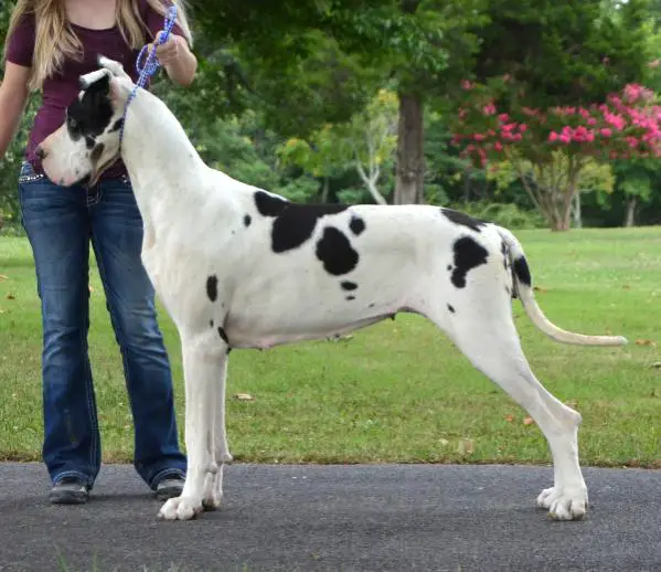 Deschenes Bex Baby Remember My Name