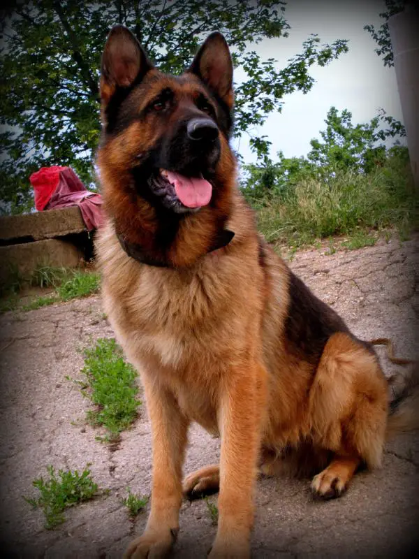 Malhaz von Conan De Bess
