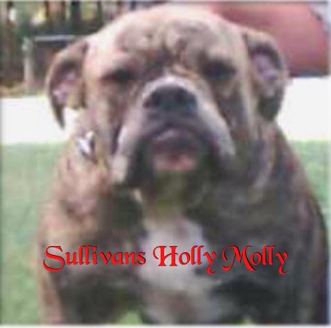 Sullivan's Molly Holly