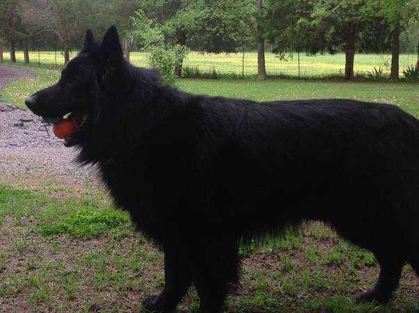 Ryker Bubby Vyn White