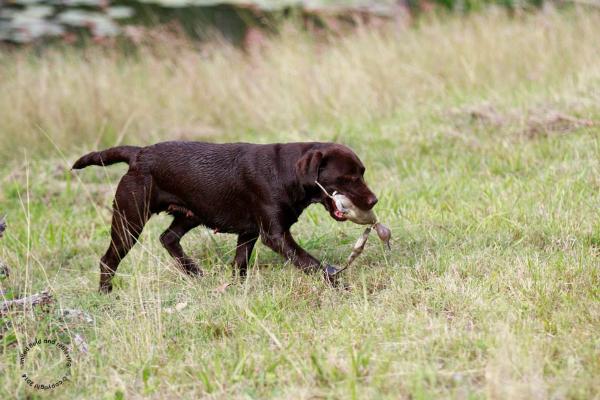 Headland Cape Hillsborough