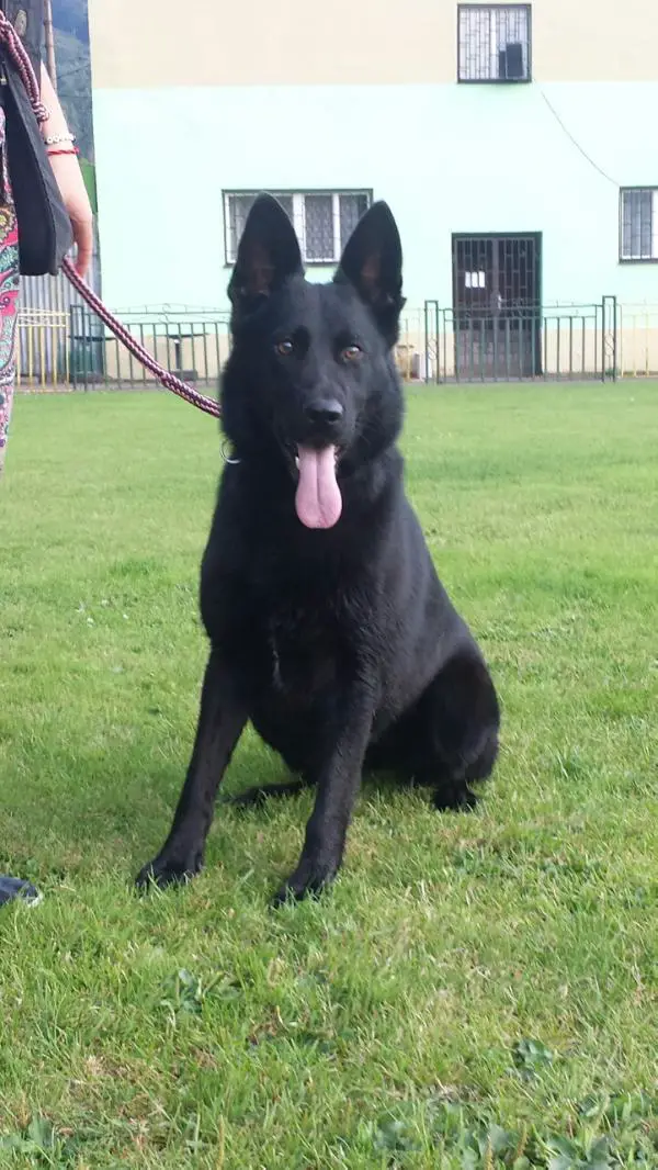 Ittira z Michalkinej zahrady