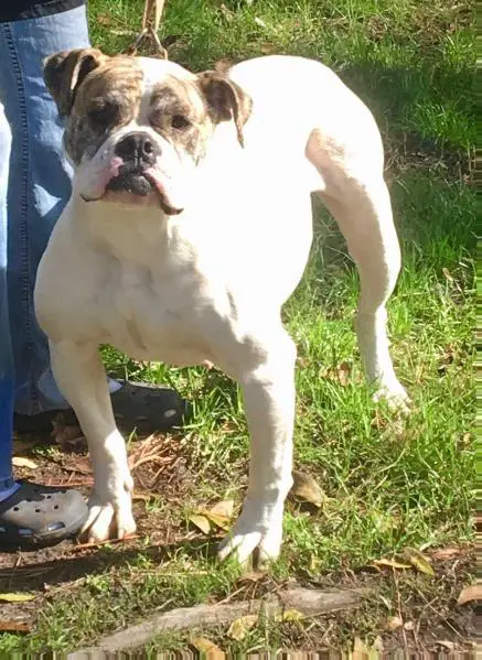 Bionic's Mary Jane of Ren Scot