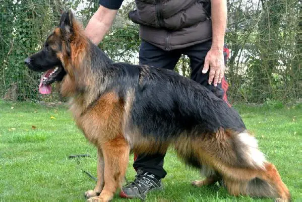 Ike des terrils du ch'ti