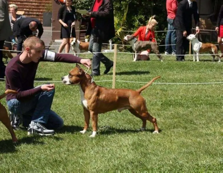 MULT. CH Cans Juansa Eros