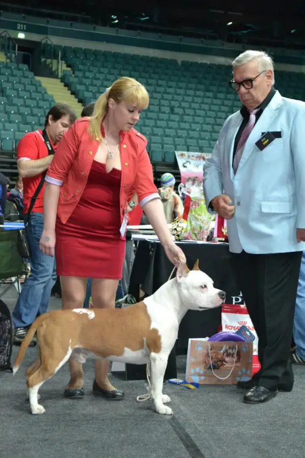 СH RUS.RKF. LIT.ROM Rus Neva-Da Bridge