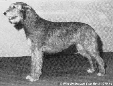 CH Marumac Bahbarella