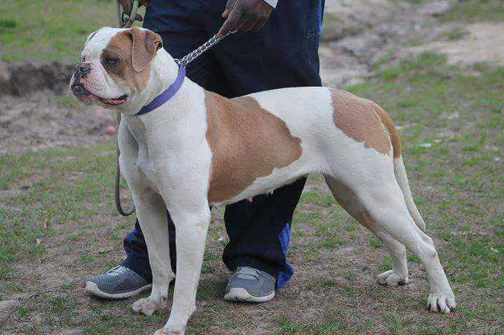 PSI ' Dirty Little Secret