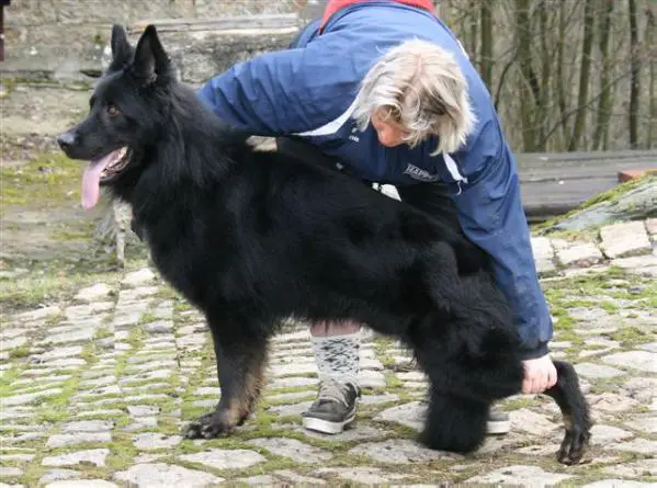 Ero od Roubenky (ČR)