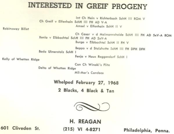 DUE FEB 27TH 1968 Historical H Reagan Litter Announcement
