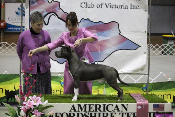 Zaliamstaff Storms A Brewing