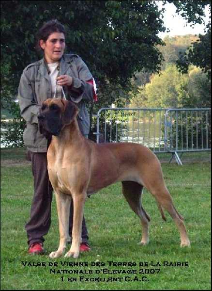 Valse de vienne Des terres de la Rairie